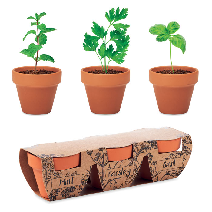 Set di erbe in terracotta - MO6145