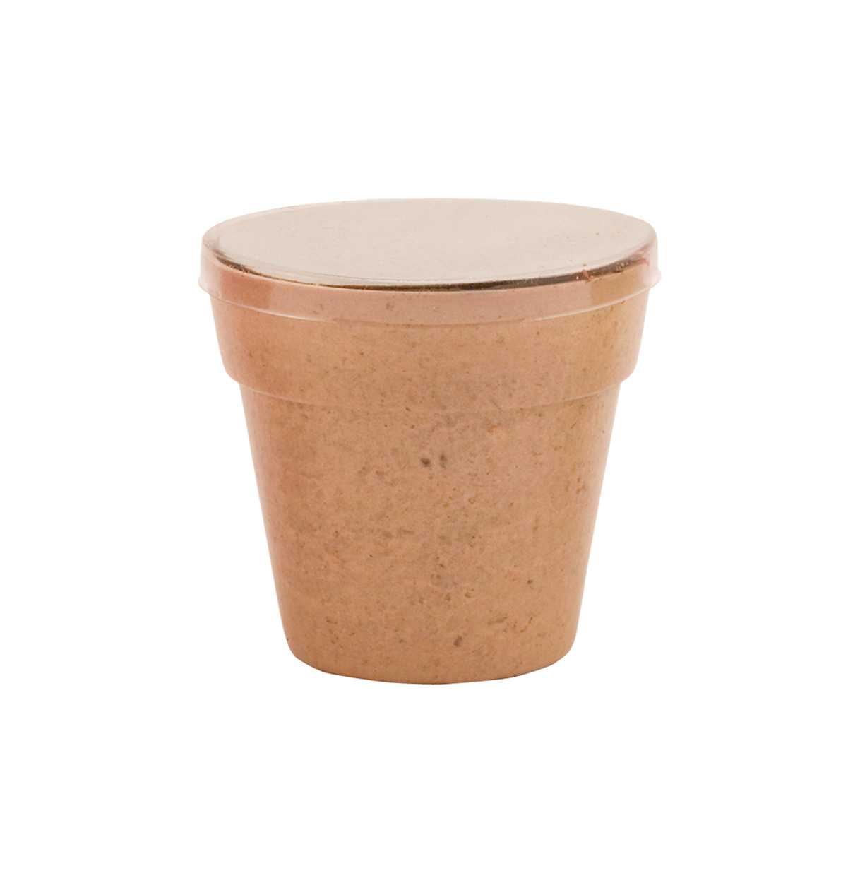 Petunia. vaso di fiori - AP731428